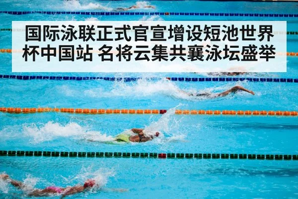 国际泳联正式官宣增设短池世界杯中国站 名将云集共襄泳坛盛举